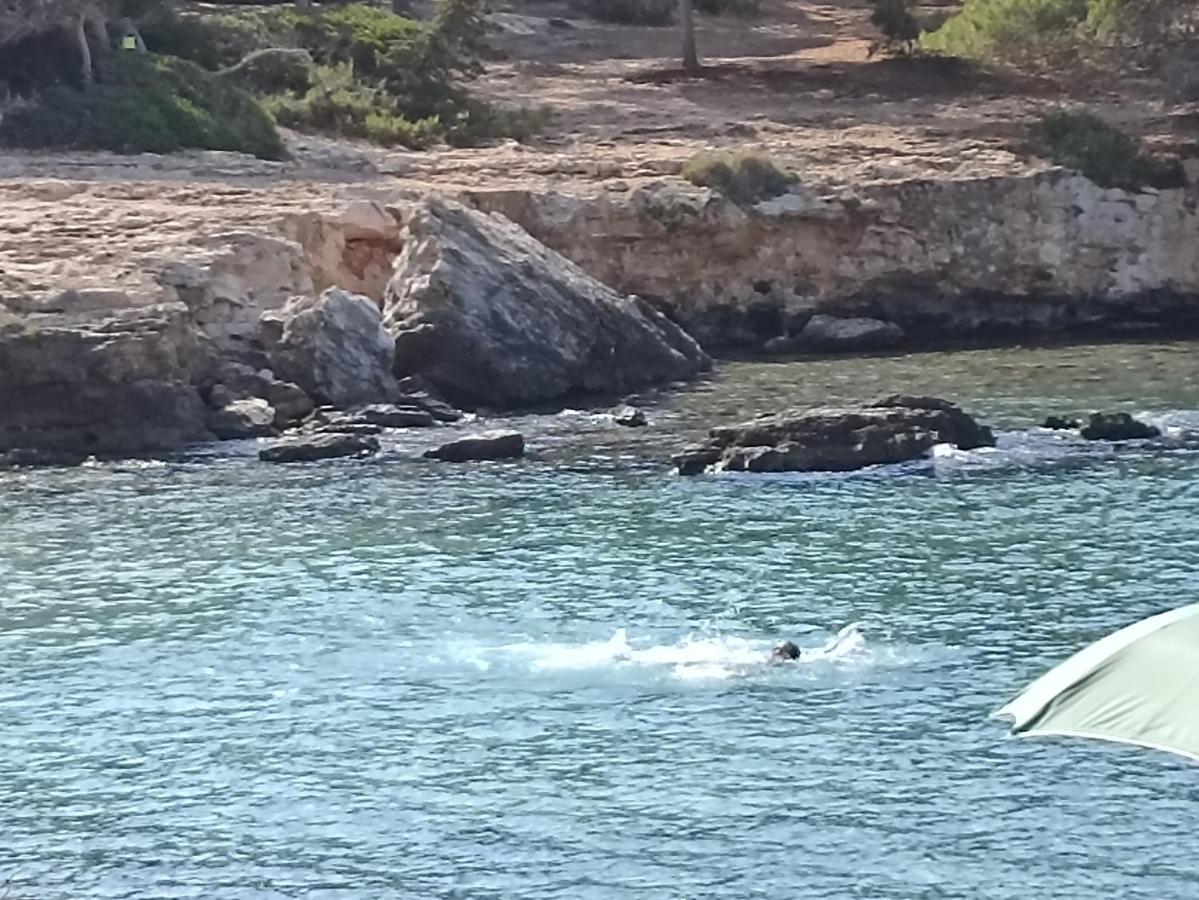 Apartmán Salento Mare E Arte Nardò Exteriér fotografie