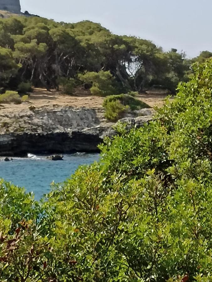 Apartmán Salento Mare E Arte Nardò Exteriér fotografie